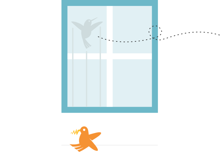 404 image of bird hitting window