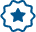 Pro Icon